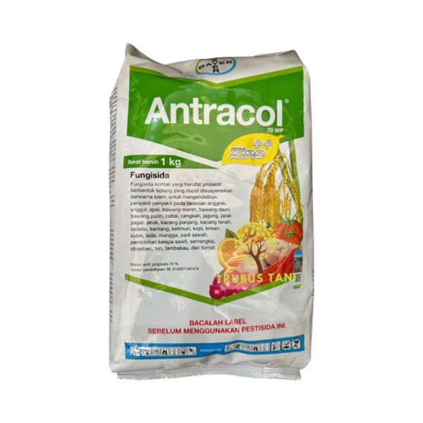 Fungisida Antracol 1kg BAYER