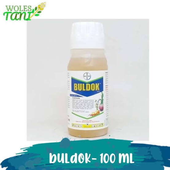 Buldok 100ml