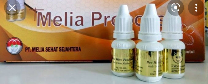 Melia propolis