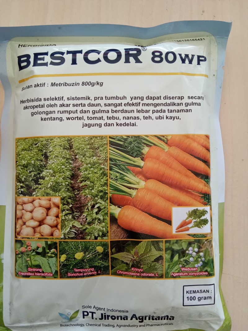 Bestcor 80wp
