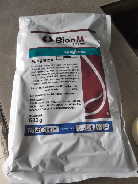 bion m