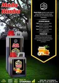 Madu Hutan Sumatra Asli Kemasan ½ kg Madu Rimba Asli Madu Hutan Asli