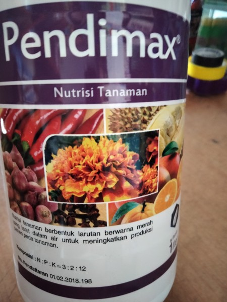 Pendimax