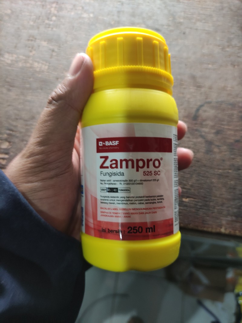 ZAMPRO 250ML
