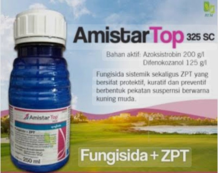 Amistartop 250 ml