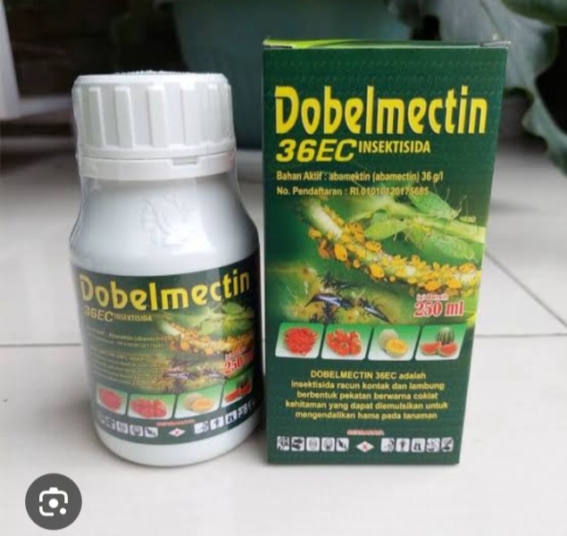 Dobelmectin