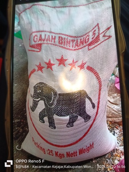 Beras Ketan Bintang 5