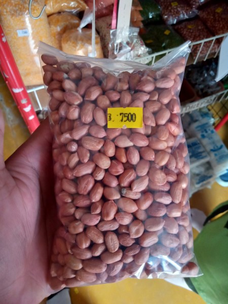 Kacang tanah