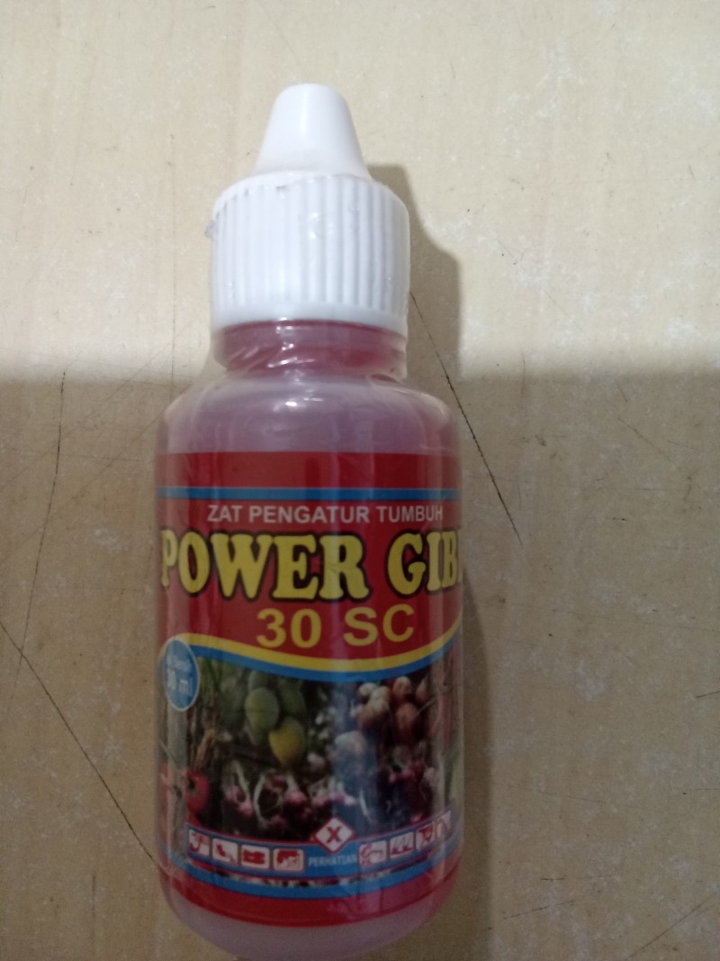 Powergib