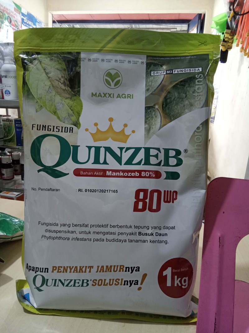 Quinzeb