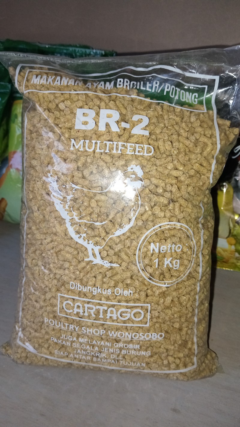 pakan ayam br 2