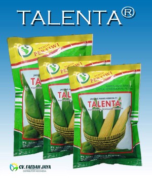 Bibit Jagung Talenta
