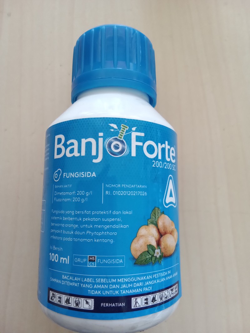 Banjo forte 200/200 SC