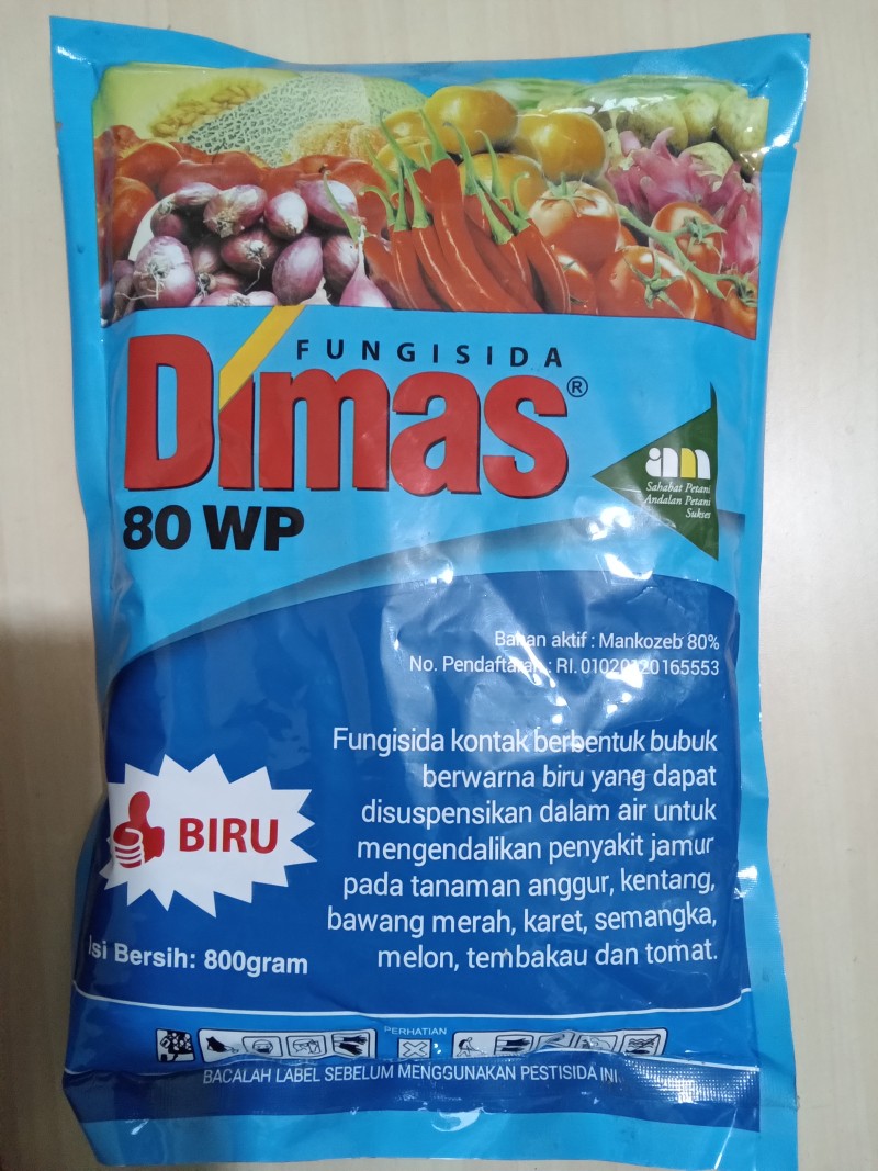 Dimas 80wp