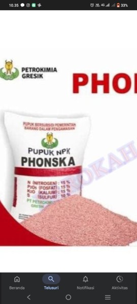 Pnska