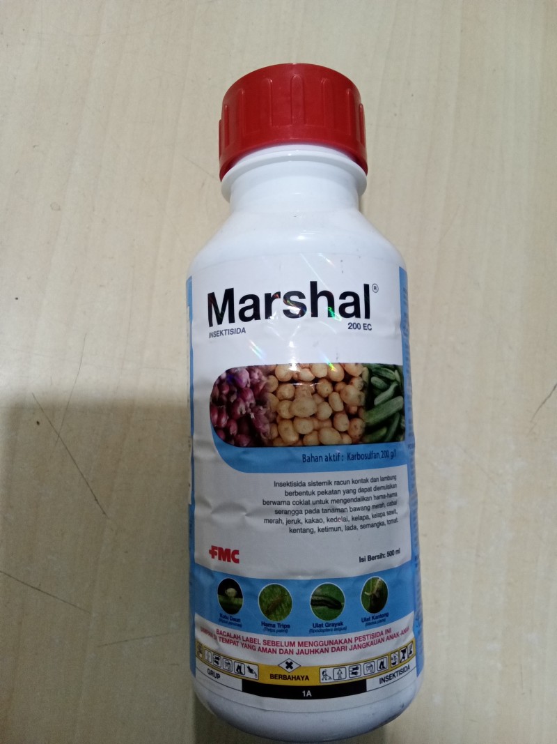 Marshal