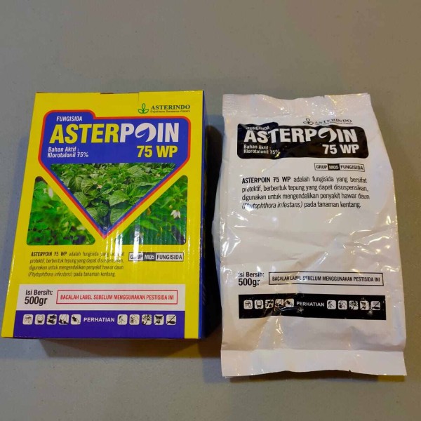 Asterpoin 75 wp