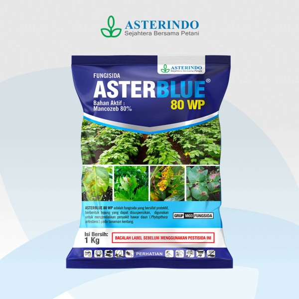 Aster blue 80wp