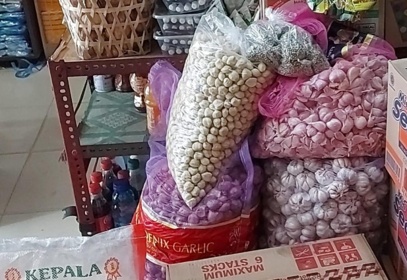Bawang sinco dan bawang kating