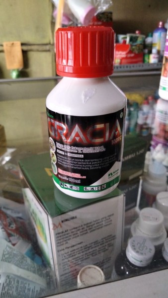 Gracia 100ml
