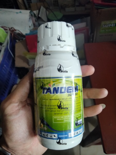 TANDEM 250 ML