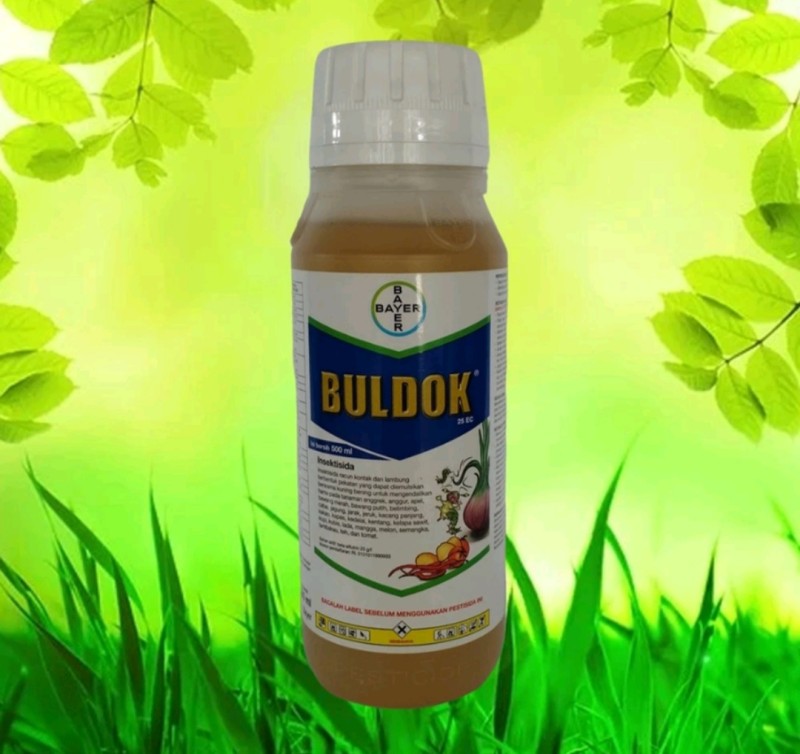 Insektisida buldok 100 ml