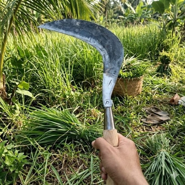 Sabit rumput bahan baja
