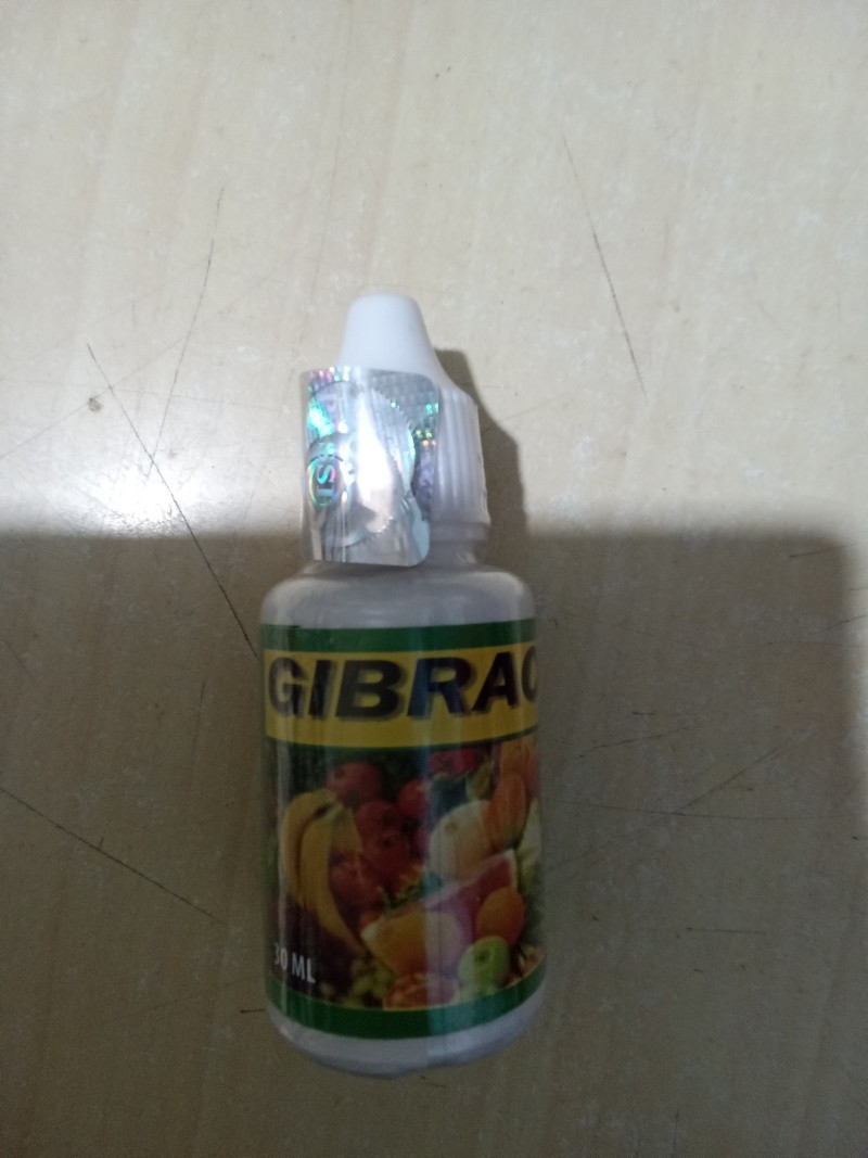 Gibracid