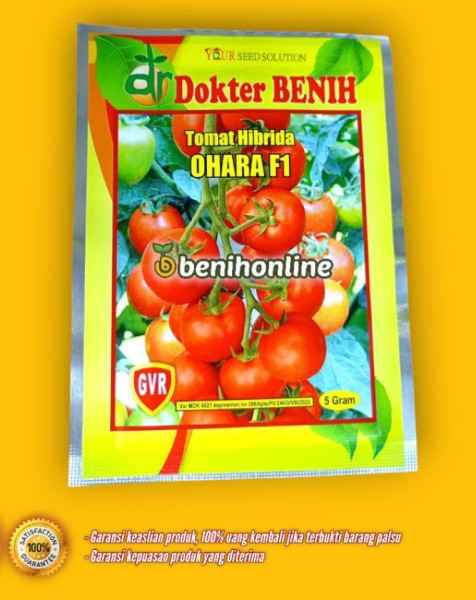 Benih tomat