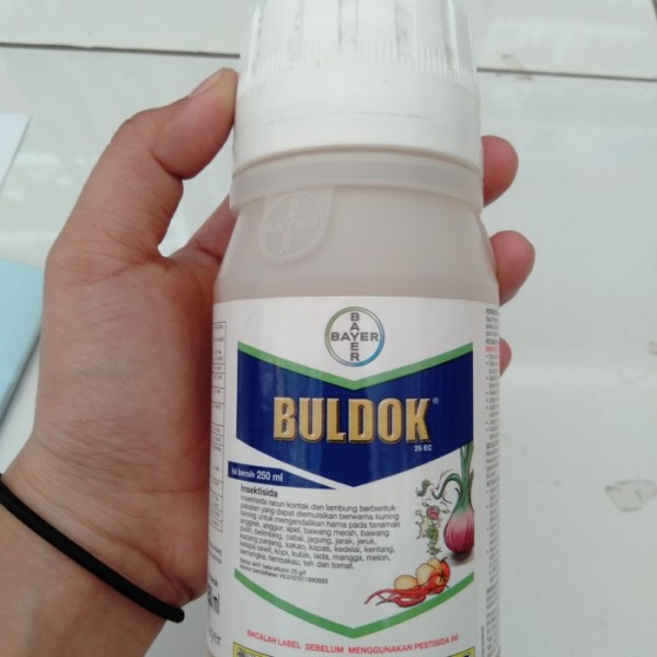 Buldox