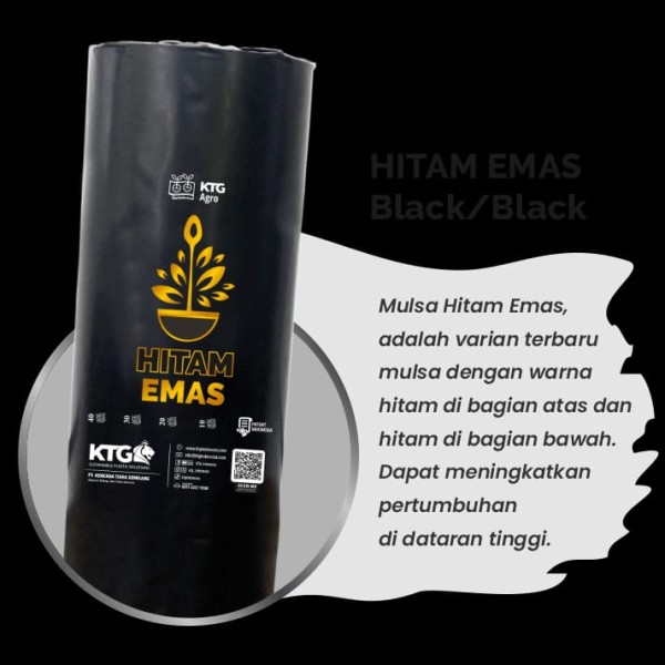Mulsa hitam emas