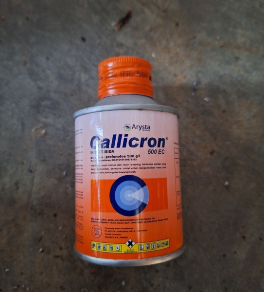 Callicron