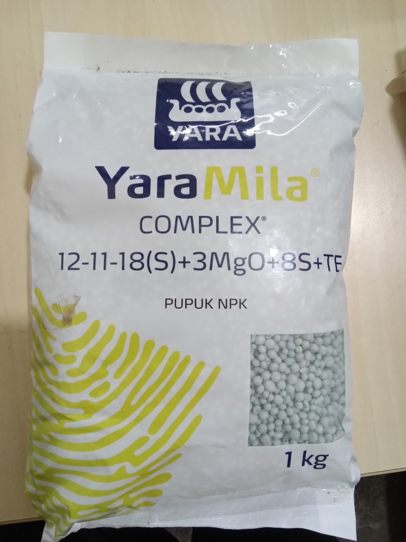 Yara mila COMPLEX