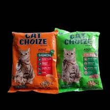 CAT CHOIZ IJO,ORANGE /DEWASA