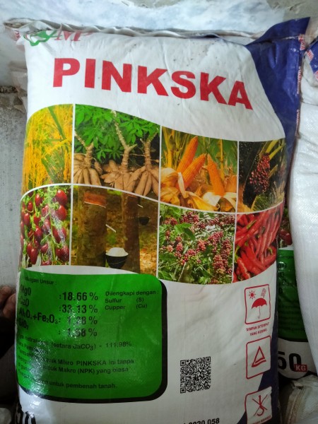 Pinska