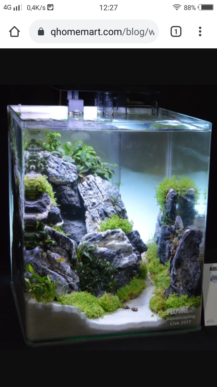 Aquascape