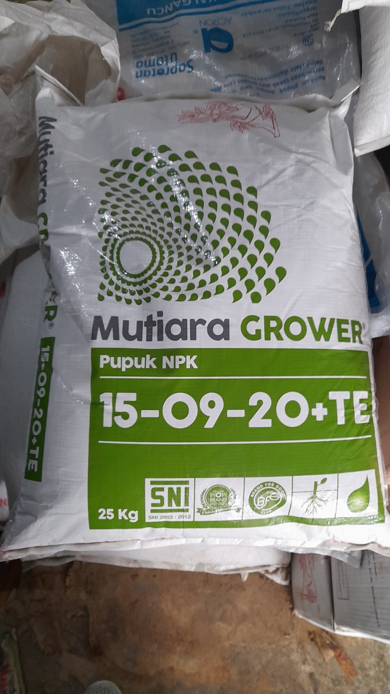 Mutiara Grower
