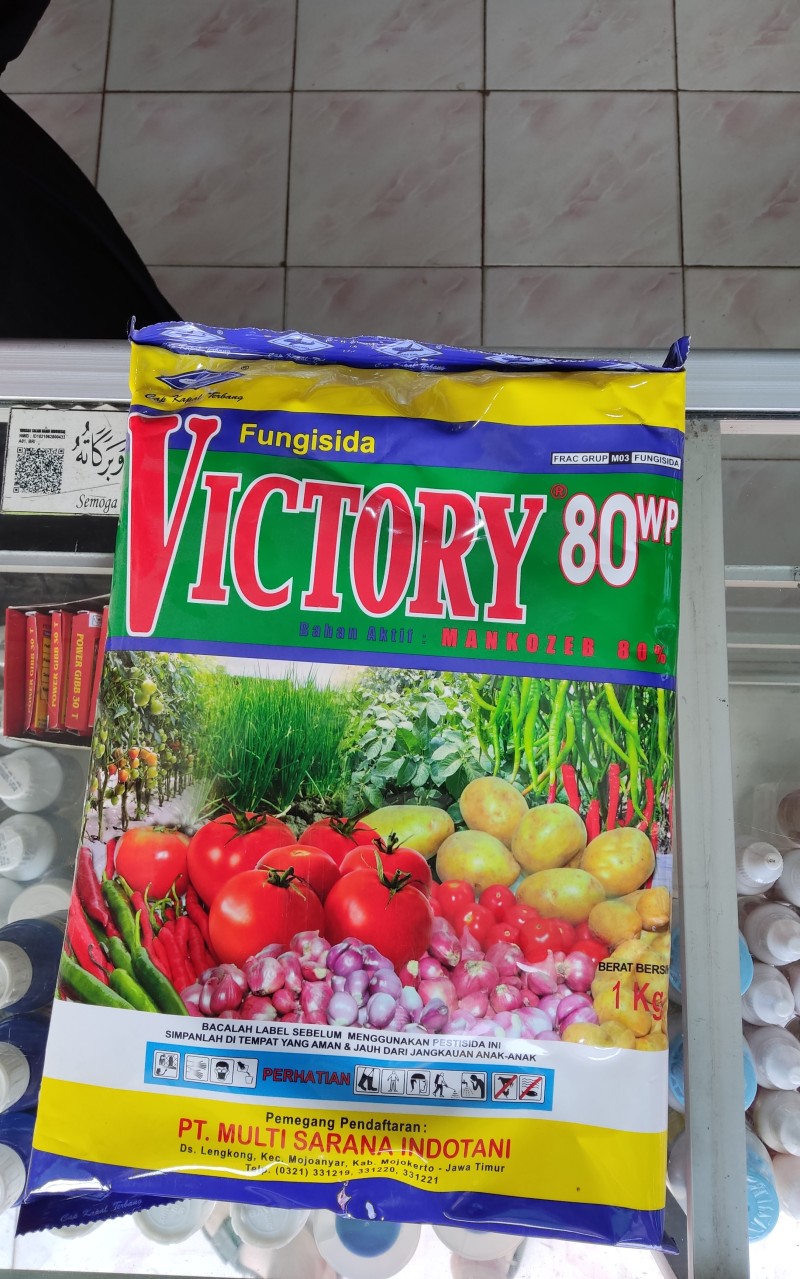 Victory 80 WP