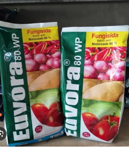 Euvora  kuning 1kg