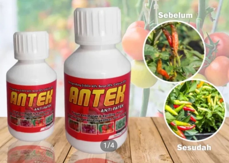 Pupuk Antek