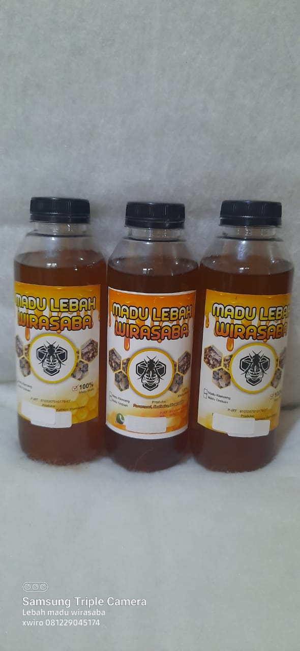madu lebah klanceng