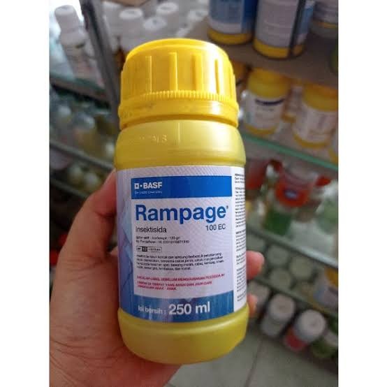 Rampage 100ec 250 ML