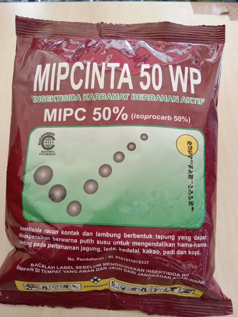 Mipcinta 50wp 100gr