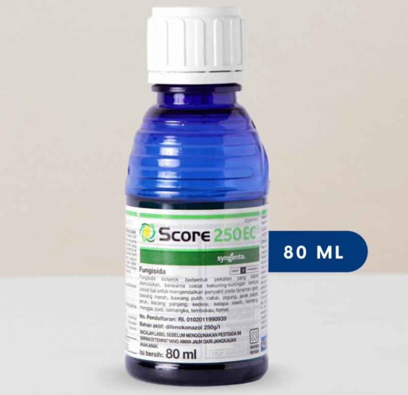 Score 80ml