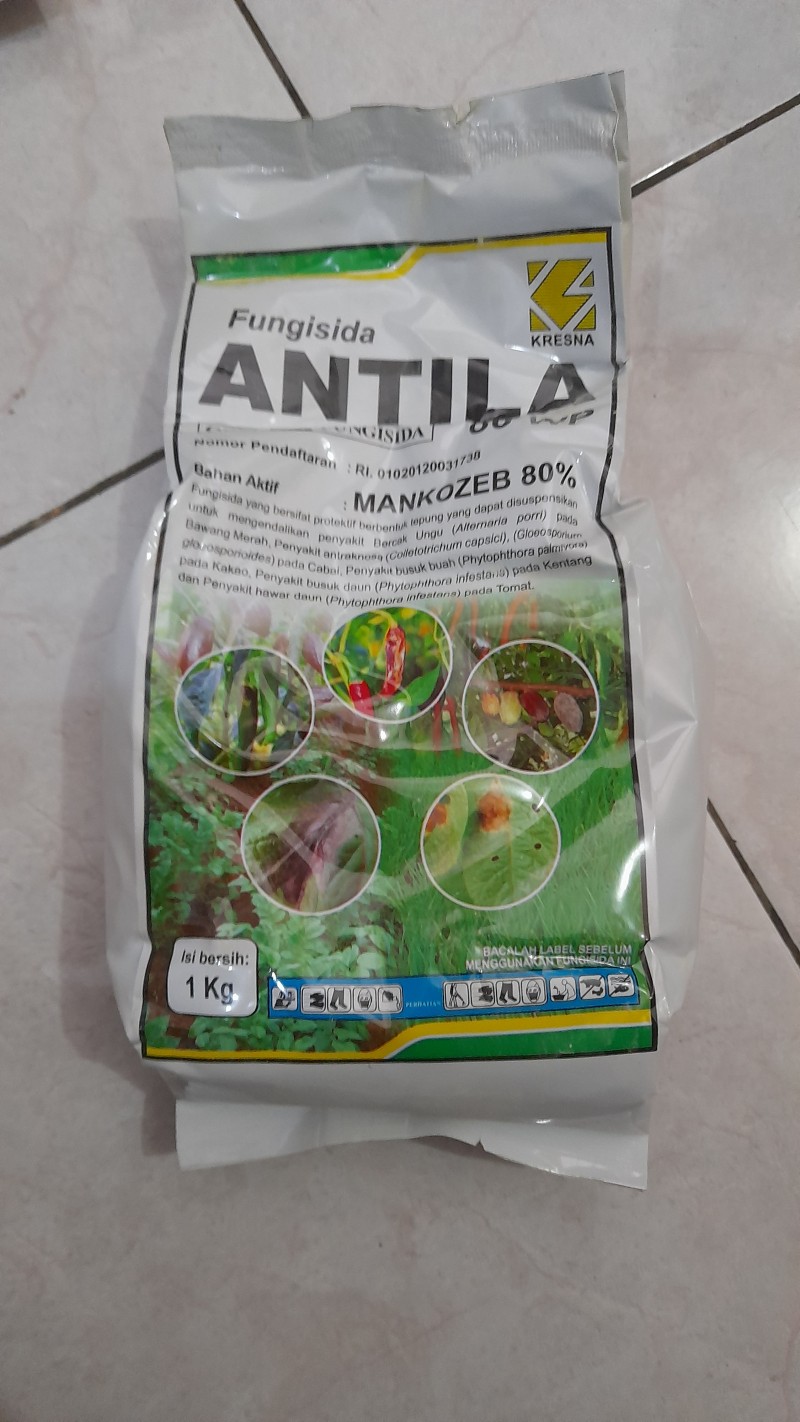 Antila
