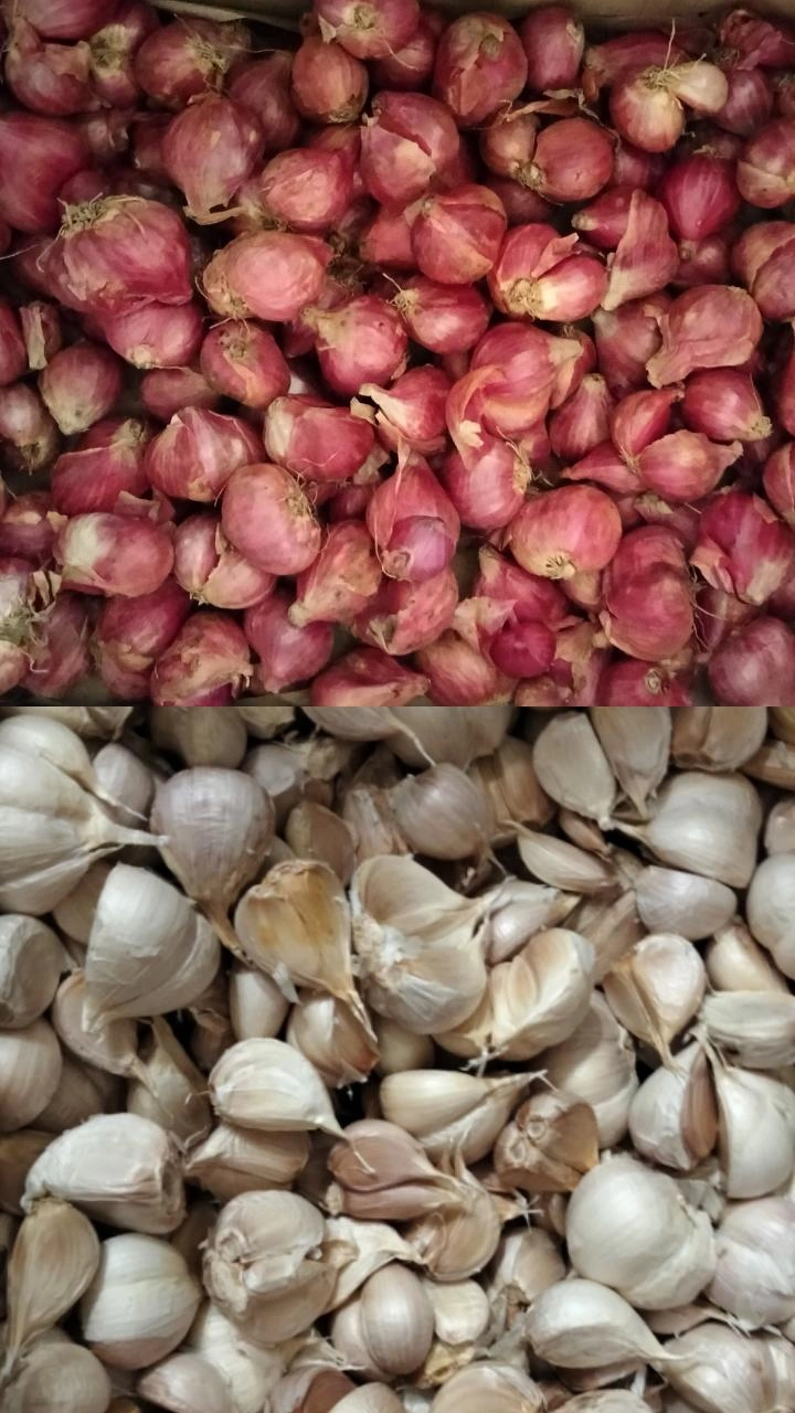 BAWANG MERAH DAN PUTIH