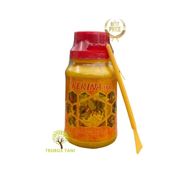 Kerina trap LEM LALAT BUAH - mengendalikan lalat Buah