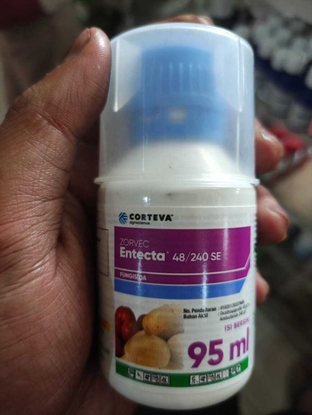 ENCTECTA 95 ML