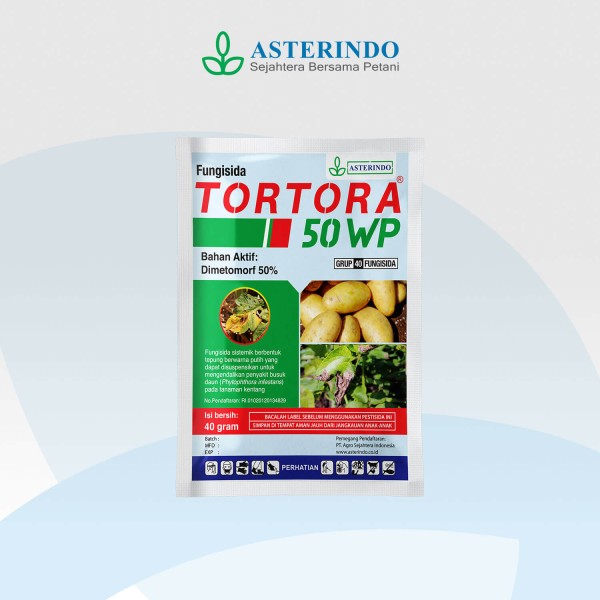 Tortora 40gr