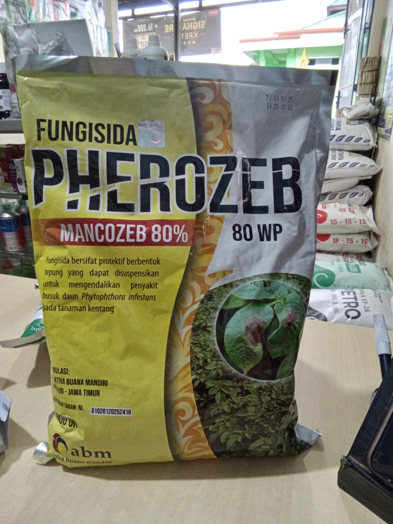 Pherozeb kuning